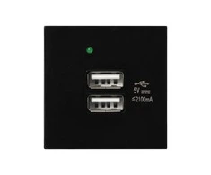 Orno NOEN USB x 2, dviejų prievadų modulinis 45x45 mm su USB įkrovikliu, 2.1A 5V DC, juodas