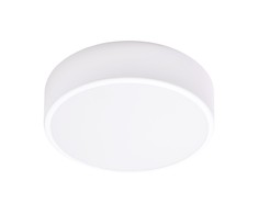 Orno OVO LED lubinis šviestuvas, 24 W, 4000 K, 2750 lm, balto plieno, matinio stiklo gaubtas, IP20, ? 300