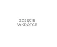 Wkład Kasetė Įrankių stalčiaus 2 putplasčio įdėklas, 41 vnt. - tuščias