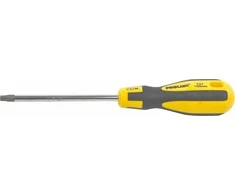 Proline Atsuktuvas T20 x 100mm