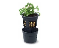 Prosperplast Vazonas bulvių sodinimui 39,2 cm
