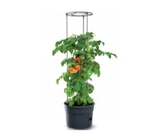 Prosperplast Vazonas Pomidorams Ipom300 24 cm