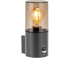 Sieninis šviestuvas Orno SALVIA sodo šviestuvas su PIR jutikliu, E27, maks. 15 W, IP54, pilkas
