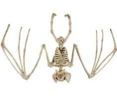 Šikšnosparnio skeletas - dekoracija 30 cm Malatec 22005