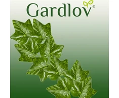Dirbtinė gebenė-girlianda 25,2m gardlov 19735 m