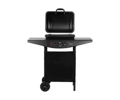 Teesa BBQ 2000 Dujinis grilis - 2 degikliai