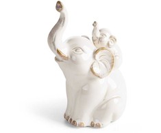 Eurofirany C/AVANI/FIG/03 13X9X20 K