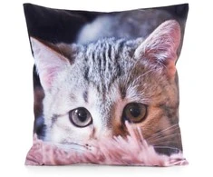 Eurofirany CHP/ANIMAL/75 45X45