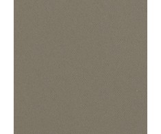 Eurofirany DESIGN 91 Naktinė užuolaida iš lygaus užtemdančio audinio PARISA, 135X270 cm, juosta / tunelis / kabliukai, spalva: tamsi smėlio