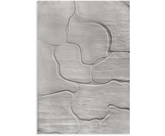 Eurofirany DY/ALBA5 SIDABRAS 120X170 / 11MM