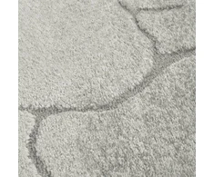 Eurofirany DY/ALBA5 SIDABRAS 120X170 / 11MM