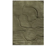 Eurofirany DY/ALBA6 OLIV 120X170 / 11MM