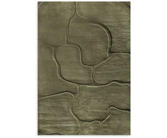 Eurofirany DY/ALBA6 OLIV 80X150 / 11MM