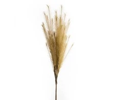 Eurofirany KW / FLORE / 704 / BEIGE BEIGE