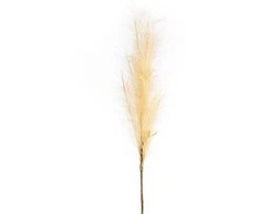 Eurofirany KW/FLORE/708/BEIGE BEIGE