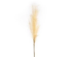 Eurofirany KW/FLORE/708/BEIGE BEIGE