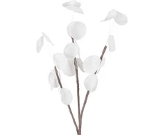Eurofirany KW/FLORE/710/B B