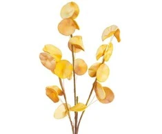 Eurofirany KW/FLORE/710/POM POMA+GELTONA