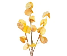 Eurofirany KW/FLORE/710/POM POMA+GELTONA