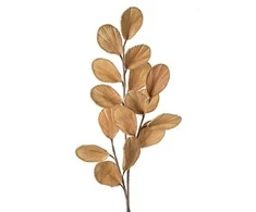 Eurofirany KW/FLORE/733/BEIGE BEIGE