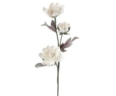 Eurofirany KW/FLORE/735/B B