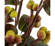 Eurofirany KW/FLORE/740/Žalias Žalias+BROWN