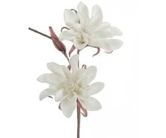 Eurofirany KW/FLORE/742/B B