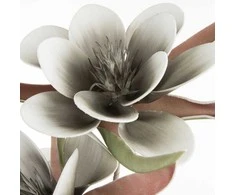 Eurofirany KW/FLORE/744/POP POPI+B