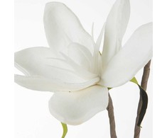 Eurofirany KW/FLORE/748/B B