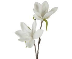 Eurofirany KW/FLORE/748/B B