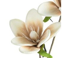 Eurofirany KW/FLORE/748/BEIGE BEIGE+K