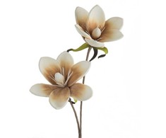 Eurofirany KW/FLORE/748/BEIGE BEIGE+K
