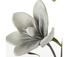 Eurofirany KW/FLORE/748/POP POPI+B