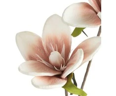 Eurofirany KW/FLORE/748/Rožinis ROSE+B