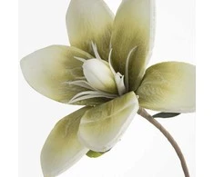 Eurofirany KW/FLORE/748/ZIE ZIEL+K