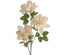 Eurofirany KW/FLORE/752/K K