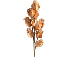 Eurofirany KW/FLORE/754/BROWN BROWN