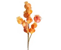 Eurofirany KW/FLORE/754/POM POMA+C.R
