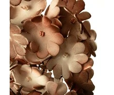 Eurofirany KW/FLORE/755/BROWN BROWN
