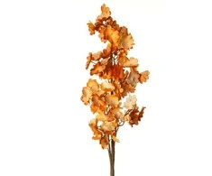 Eurofirany KW/FLORE/755/POM POMA+BR