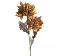 Eurofirany KW/FLORE/770/ZIE ZIEL+BR