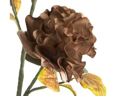 Eurofirany KW/FLORE/772/BROWN