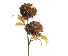 Eurofirany KW/FLORE/772/BROWN