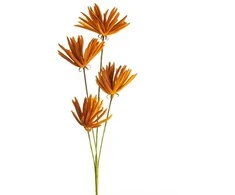 Eurofirany KW/FLORE/779/POM POMA
