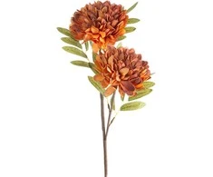 Eurofirany KW/FLORE/783/POM POMA+BROWN