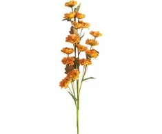 Eurofirany KW/FLORE/790/POM POMA+HERB