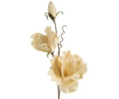 Eurofirany KW/FLORE/791/J.B J.BEIGE