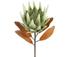 Eurofirany KW/FLORE/792/SEE SOUL