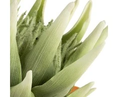Eurofirany KW/FLORE/792/SEE SOUL