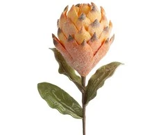 Eurofirany KW/FLORE/793/POM POMA